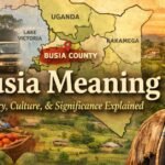 Busia Meaning: Origin, History, Cultural Significance, and Modern Relevance